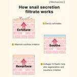 51aE57upneL._AC_SL1100_