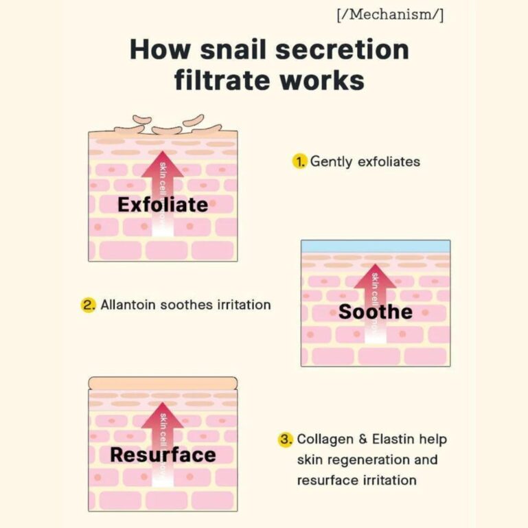 51aE57upneL._AC_SL1100_