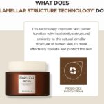 51gu8+6Yp6L._AC_SL1000_