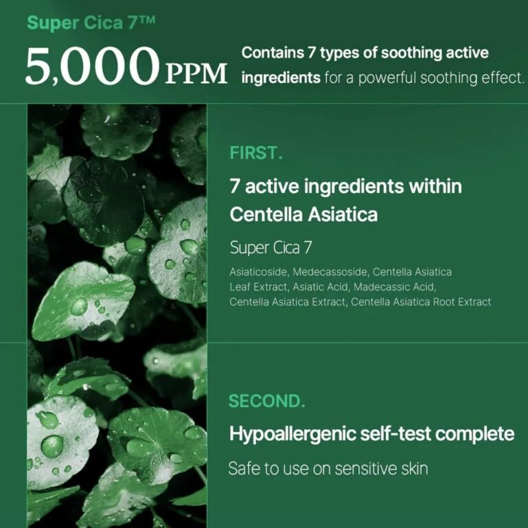 71Bsd0+7TZL._AC_SL1500_