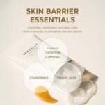 71NVD14Vh-L._AC_SL1500_