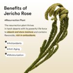 71ZLUZpJHlL._SL1500_