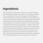 71hx54MhOWL._SL1500_