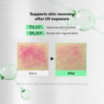 81RLBrlwLZL._SL1500_