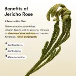 JJ_thumb_jericho_rose_collagen_eye_patch_04