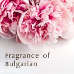 61+dqQuotgL._SL1000_