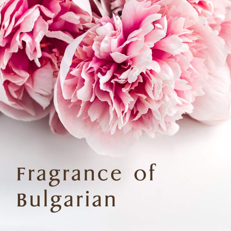 61+dqQuotgL._SL1000_