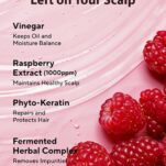 71otbMChHBL._AC_SL1500_