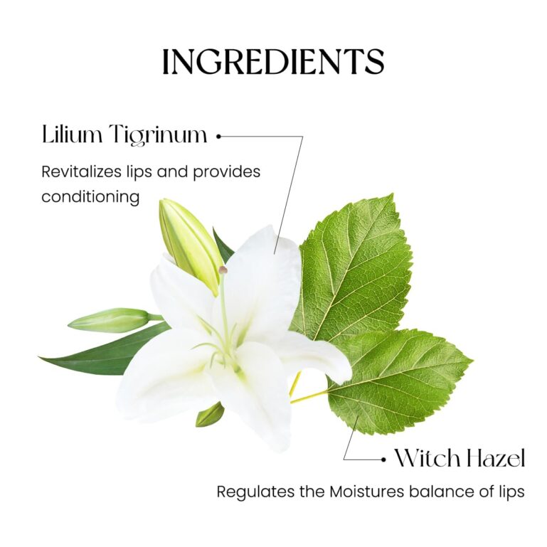 61sawn4JqdL._SL1200_