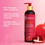 Intro_abfbb8f9-ebc0-405e-8e4b-e643b0c3c328